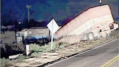 Un camión despistó en la Ruta 101