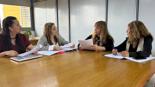 Caso del bebé de Rancul: la Comisión Investigadora de la Legislatura pampeana comenzó su labor y pidió informes al gobierno