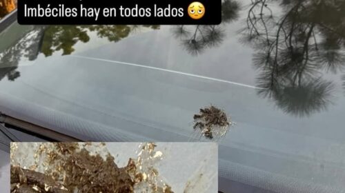 Indignación en General Pico: una vecina denunció que lavacoches le llenaron el parabrisas con excremento tras negarse a su servicio