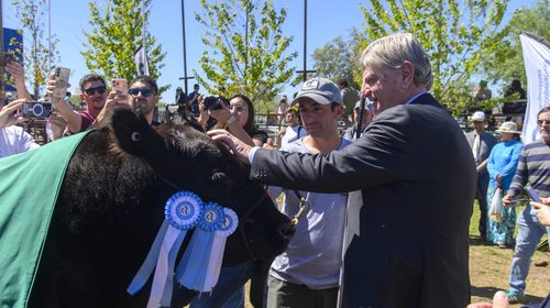 Ziliotto inauguró la 100° Exposición Rural: anunció créditos por $55.000 millones, obras viales y defendió el rol del Estado